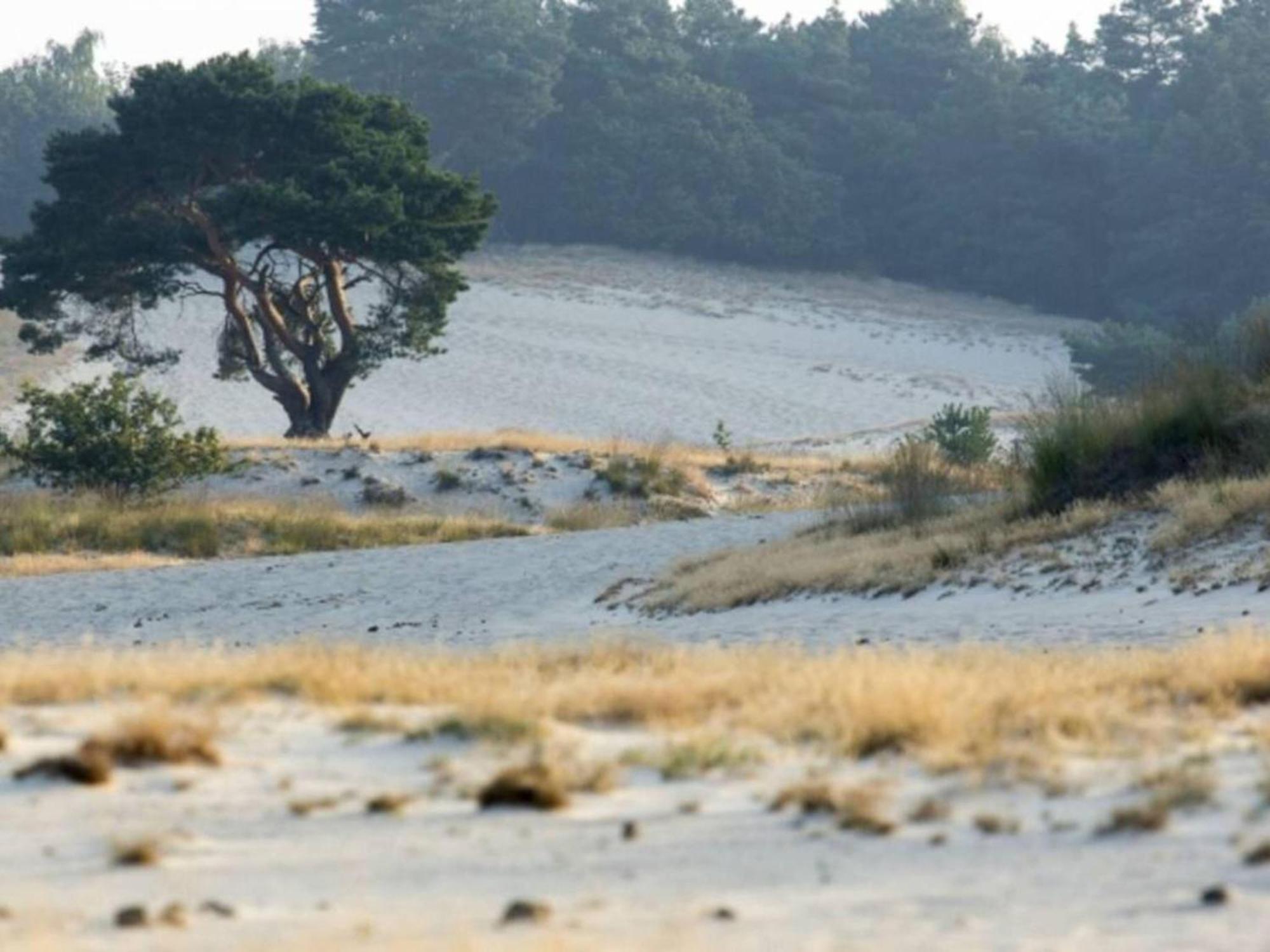 Steenenburg Zicht Nieuwkuijk Esterno foto